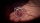Magic Chamber von Apprentice Magic