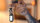 Organic Spirit Slates von Juan Capilla und Julio Montoro