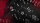 YUCI Soloist (Conjuring Edition) Spielkarten von TCC